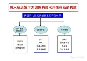 熱水解厭氧污泥新型調(diào)理技術(shù)的開發(fā)與工程應(yīng)用